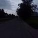 Аллея в городе Череповец