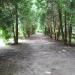 Park w posiadłości Żeromskiego in Nałęczów city