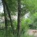 Средняя школа № 16 в городе Кимры