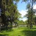 Park miejski in Nałęczów city