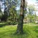 Park miejski in Nałęczów city