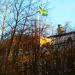 Jämtlands Flygfoto (ru) in Östersund city