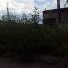 ГСК 