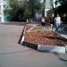 Клумба «Анин сад» в городе Москва