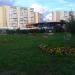 Цветник в городе Москва