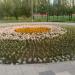 Цветник в городе Москва