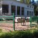 Загон для крупнорогатого скота в городе Москва