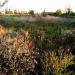 Разобранные подъездные пути в городе Воронеж