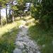 Walking route to the top of Mount Vosac