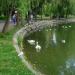 Molodi Park in Rivne city