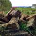 Пустырь – снегосборный пункт в городе Тверь