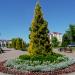 Клумба в городе Пинск