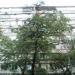 Татарская ул., 36/5 в городе Киев