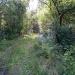Старое Ивановское кладбище в городе Каменск-Уральский
