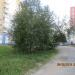Рощица в городе Череповец