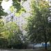 пер. Надежды Светличной, 2 в городе Киев