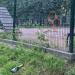 Площадка для выгула и тренировки собак в городе Москва