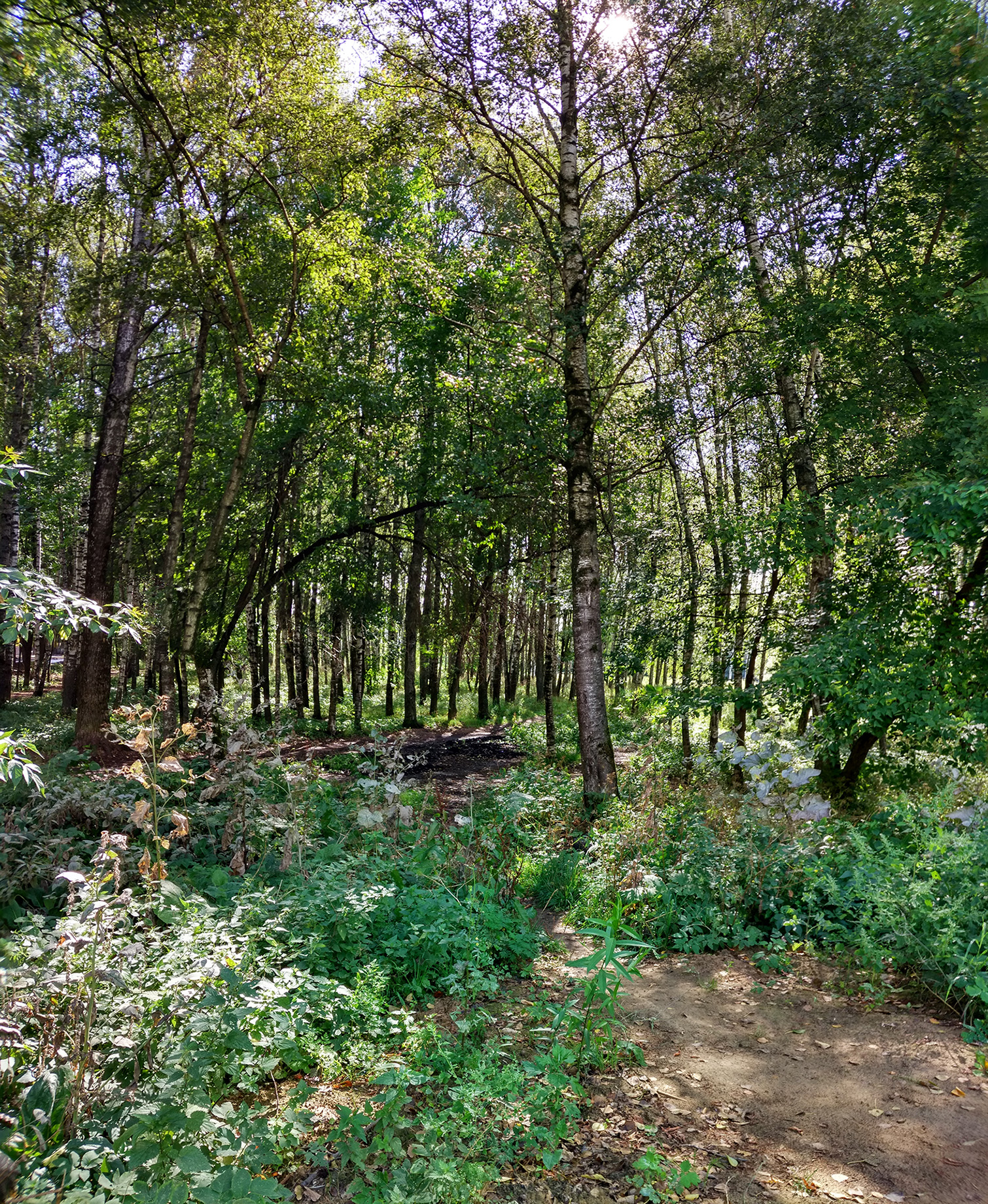 Роща - Тверь