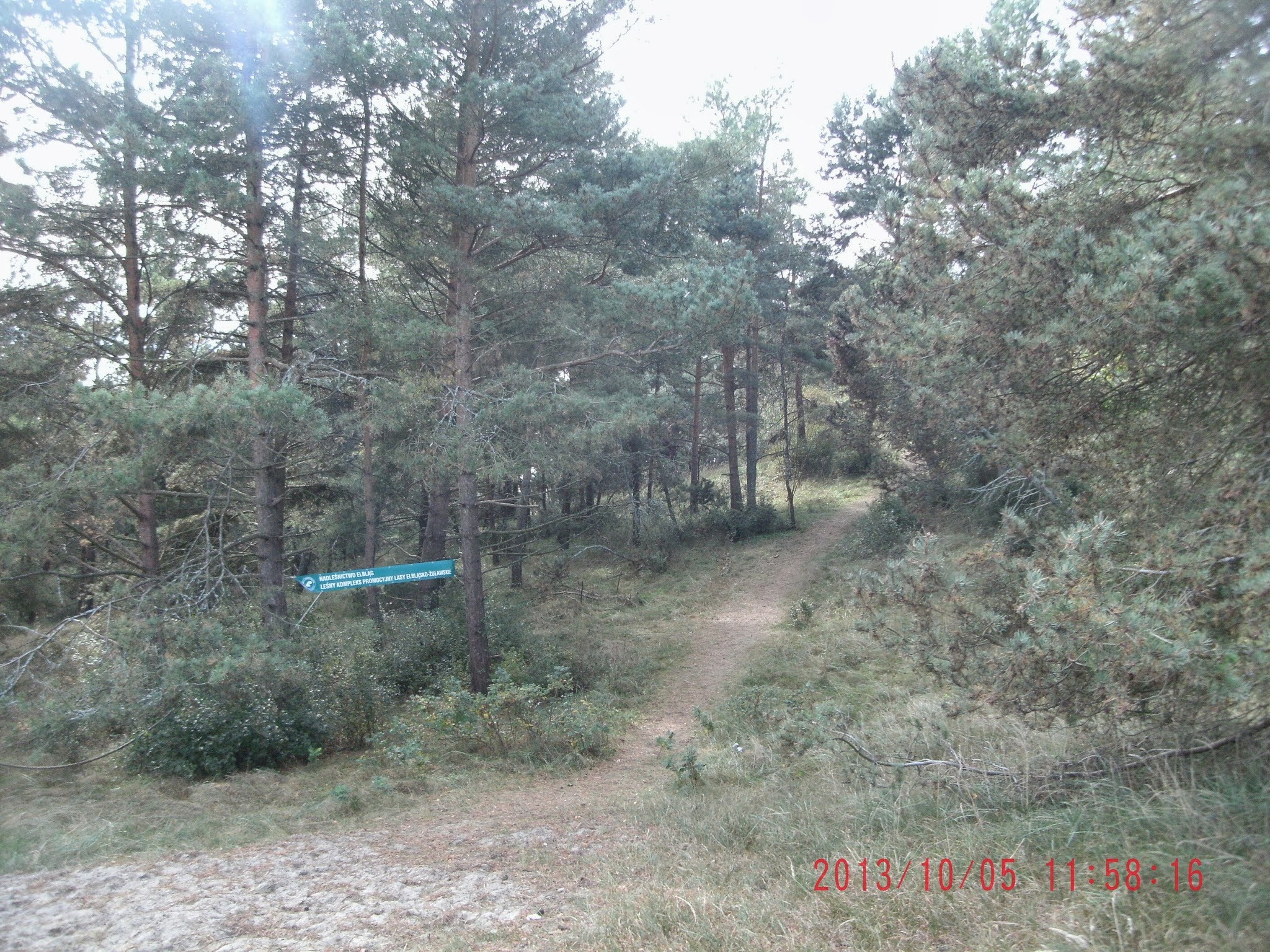 Wydma Pirat