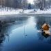 Пруд у источников в городе Воронеж