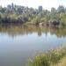 Пруд Глинка в городе Гостомель