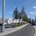 Разделительная полоса с деревьями в городе Москва