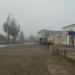 Кафе 