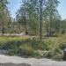 Парковая ландшафтная зона «Смешанный лес» в городе Москва