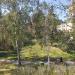 Парковая ландшафтная зона «Берёзовая роща» в городе Москва