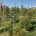 Парковая ландшафтная зона «Смешанный лес» в городе Москва