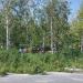 Парковая ландшафтная зона «Берёзовая роща» в городе Москва