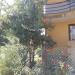 Гостевой дом Yellow house в городе Сочи