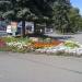 Клумба в городе Уфа