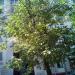 ул. Зои и Александра Космодемьянских, 35/1 в городе Москва