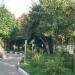 Дендрарий Дарвиновского музея в городе Москва