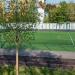 Футбольное поле в парке в городе Москва