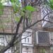 Рыбальская ул., 11 в городе Киев