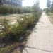 Алея с розами к морю в городе Геническая Горка