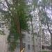 Талсинская ул., 18 в городе Щёлково