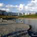 Ходынский пруд в городе Москва