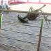 Батальонный 82-мм миномёт — экспонат в городе Каменск-Шахтинский