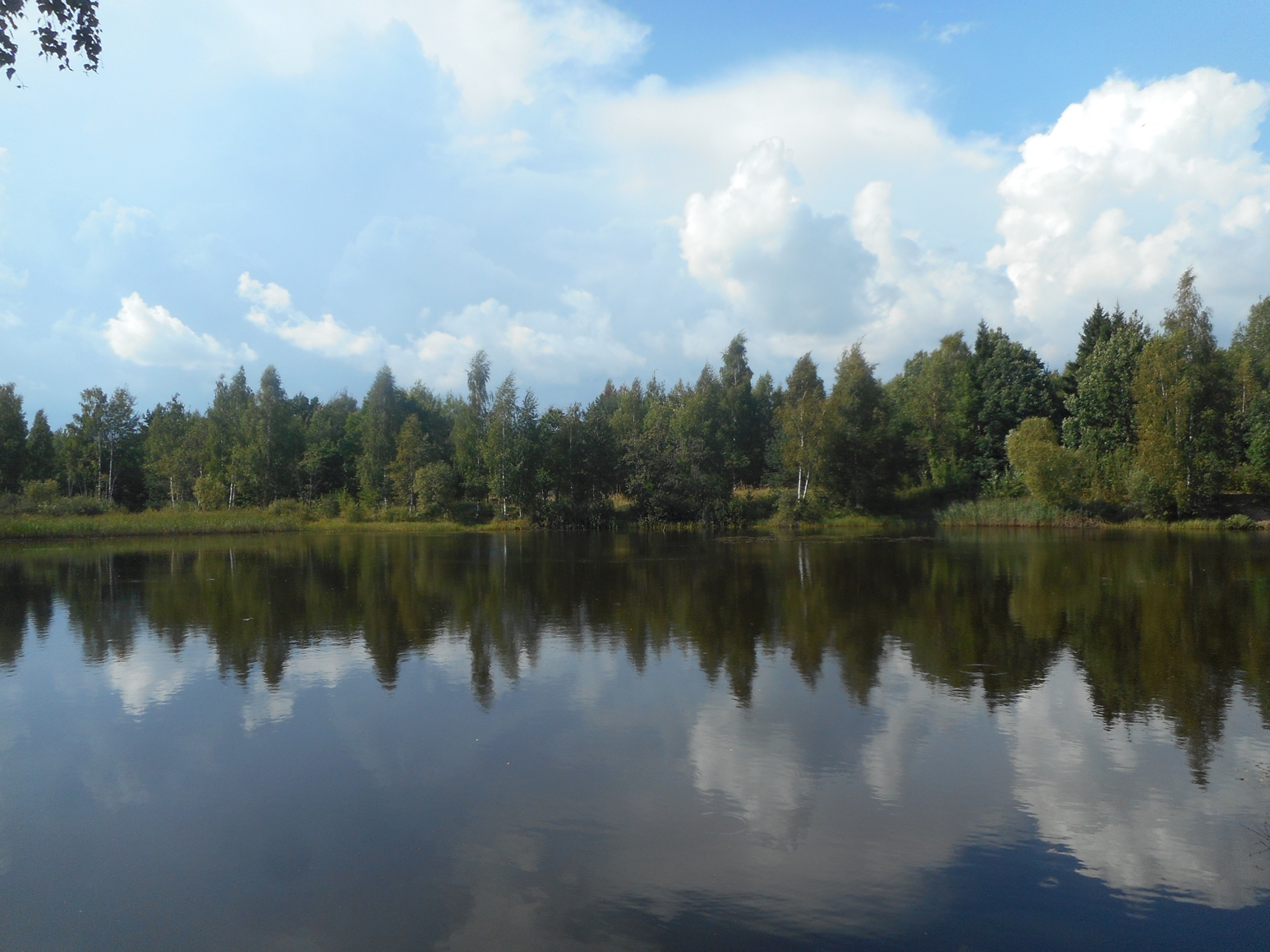 Озеро сказка Смоленск