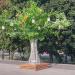 Стилобатный уровень Большого Московского цирка в городе Москва