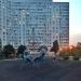 Детская игровая площадка в городе Москва
