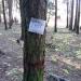 Постоянная пробная площадь в городе Москва