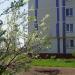 ул. Сююмбике, 26 в городе Нижнекамск