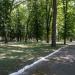Parcul 