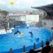 Dolphinarium in Batumi city