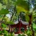 Chinese pagoda in Tirana city