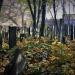 Jewish Cemetery in Bytom